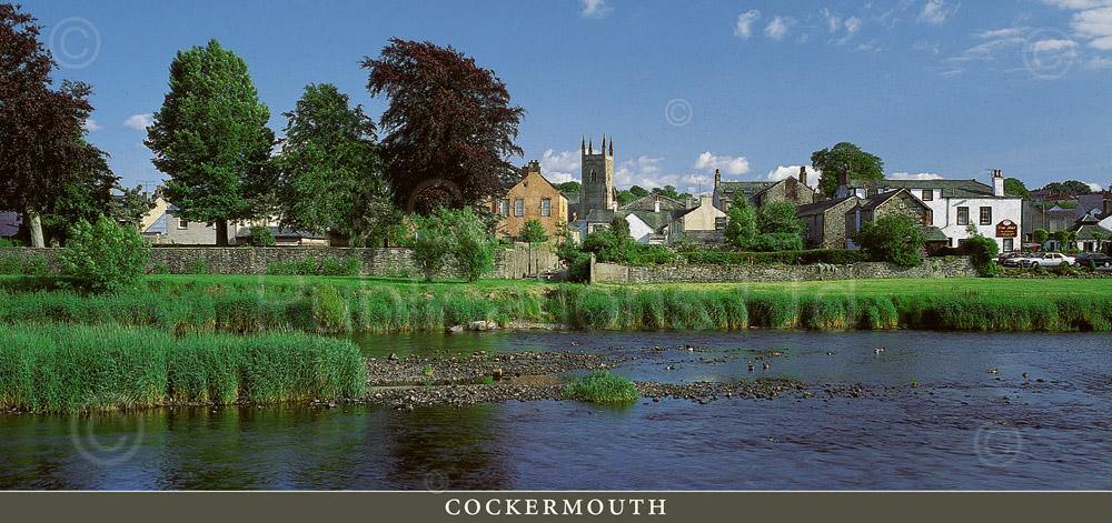Cockermouth & River Derwent postcard | Cardtoons Publications