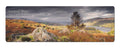 Coniston Water panoramic fridge magnet | Cardtoons