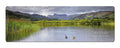 Elterwater panoramic fridge magnet | Cardtoons