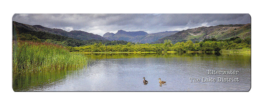 Elterwater panoramic fridge magnet | Cardtoons
