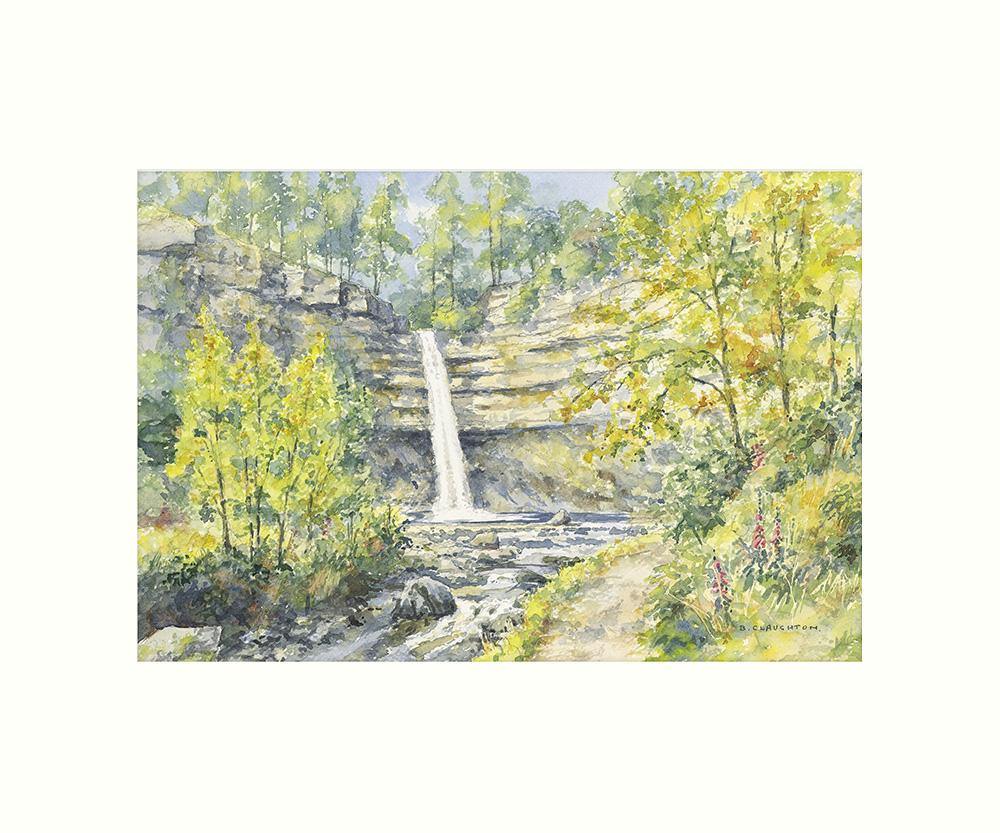Hardraw Force art print | Cardtoons Publications