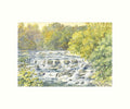 Aysgarth Falls Art Print | Cardtoons Publications