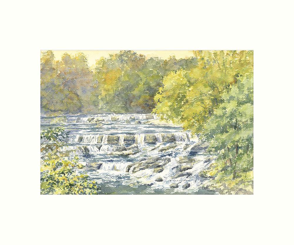 Aysgarth Falls Art Print | Cardtoons Publications