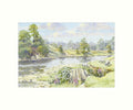 Bolton Priory art print | Cardtoons Publications